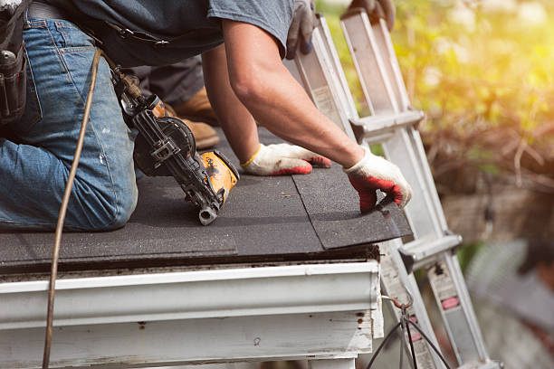 Best Storm Damage Roof Repair  in Bernice, LA
