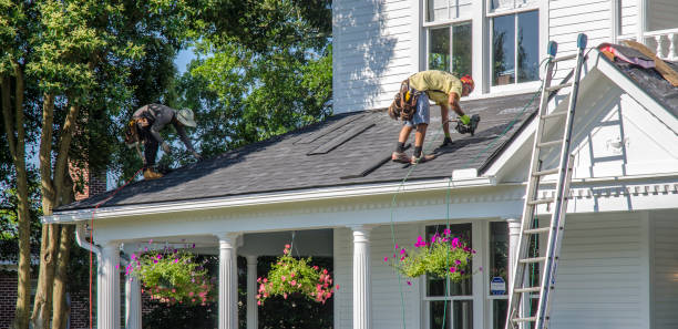 Best Local Roofing Companies  in Bernice, LA